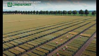 Expertengespräch Weizen: Ertrag sicher gestalten -  Limagrain - Expert talk wheat: guaranteed yield