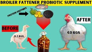 ORGANIC ENZYME + PROBIOTIC SUPPLEMENT TO FATTEN BROILERS IN 28 DAYS ONLY