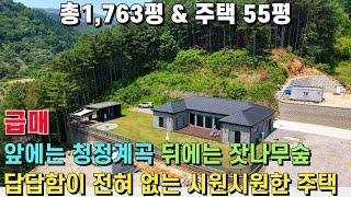 (급매) 총1,763평의 넓은 부지! 뒤로는 잣나무숲이 포근하게 감싸고 앞에는 깨끗한 계곡이 흐르는 전원주택! 외부 파티룸과 바비큐장까지 완벽! - 힐링하우스TV (강원도 춘천시)