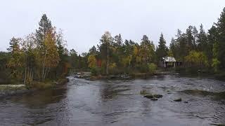 Forsaleden in autumn