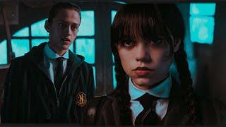 | Xavier Torp & Wednesday Addams | Why don't you love me?