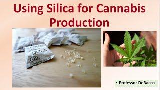 Using Silica for Cannabis Production