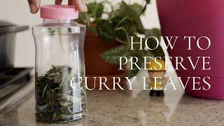 2 ways to preserve curry leaves - freeze or dry your curry patta.