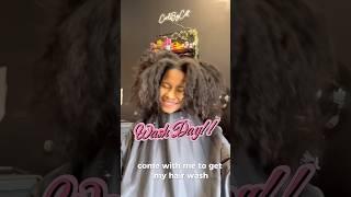 Wash Day routine!! #washday #4chair #twistout #protectivestyles #minitwists #hairmask #haircare