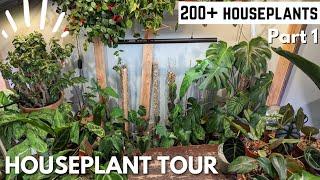 Houseplant tour 2023 ALL MY BASEMENT PLANTS (Rare And Common) Part 1