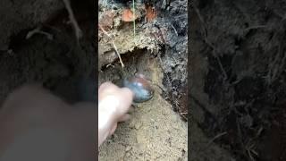 #находки #коп #поискмонет #металлоискатель #metaldetecting #metaldetector #топ #история #клад