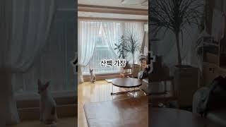 산책갑시당