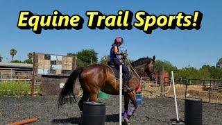 Equine Trail Sports! Likes, Dislikes & Tips!
