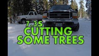 CHRISTMAS TREE  CUTTING 2018