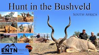 Hunting the fastest antelope and the iconic species of South Africa