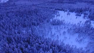 FREEDIO: "4K Winter " royalty free HD stock video footage