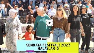 ŞENKAYA FESTİVALİ 2023 & HALAYLAR-5