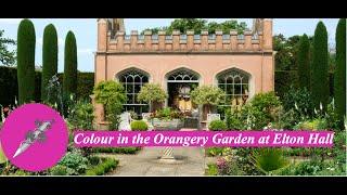 Colour in The Orangery Garden at Elton Hall