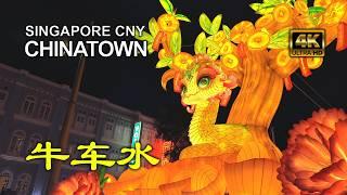 Singapore Chinese New Year 2025 | 牛车水｜Chinatown Singapore prepares for Year of the Snake