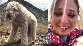 Owner Reunites With Her Dog After Goldendoodle Was Lost in Rocky Mountains