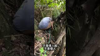 【謝謝好心人】小狗腳受傷受困溪邊 熱心男涉水 成功救援！｜小狗｜受困