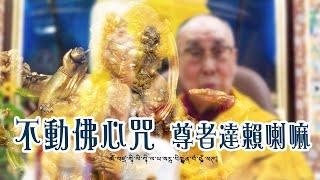 普巴金剛咒＿尊者達賴喇嘛 ཨོཾ་བཛྲ་ཀཱི་ལི་ཀཱི་ལ་ཡ་སརྦ་བིགྷྣཱན་བཾ་ཧཱུྃ་ཕཊ༔