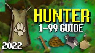 EASY & FAST 1-99 Hunter Guide For OSRS (2022)