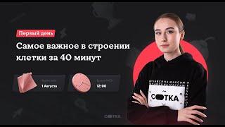 Самое важное в строении клетки за 40 минут | ЕГЭ БИОЛОГИЯ  | Онлайн-школа СОТКА