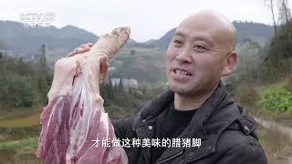 《共富经》 20250106 猪牛好卖有玄机 | 农业致富经 Agriculture And Farming