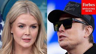 Karoline Leavitt Asked For 'Updated Leadership Structure' Of DOGE After Elon Musk Leaves