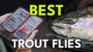 Top Flies for Fly Fishing & the Insects Behind Them | Ep. 102