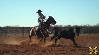 Levi Lord Team Roping Practice Session | X Factor Team Roping