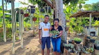 EM POUCO TEMPO ELA TRANSFORMOU O SÍTIO, EM UM PARAÍSO DE FLORES!!