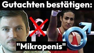 Imane Khelif ist ein Mann | Gutachten bestätigen: Mikropenis und Hoden