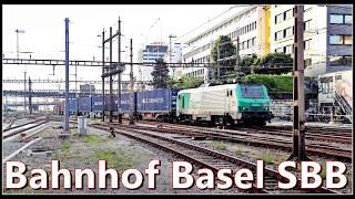Zugsichtungen beim Gleisvorfeld des Bahnhof Basel SBB | Basel 2024 - Film 2