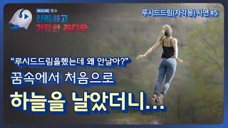 루시드드림 | 꿈에서 하늘을 날아보니... | 자각몽이야기 | 엠손 MSONE