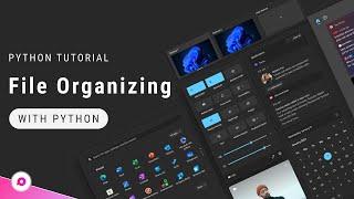 Create a File Organizer Using Python | Python Automation Project | Proxlight 2023