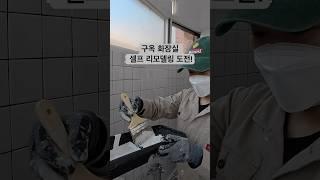 화장실 컬러만 바꿨을뿐인데..!🩵 가성비 최고 셀프 시공 추천!