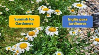 Spanish for Gardeners / Inglés para jardineros