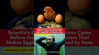 The Chicken vs Egg Mystery Solved by Science! 