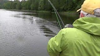 DRY FLY HEAVEN...or how John caught his 1st salmon on a Dry Fly! IMPROVED VIDEO QUALITY