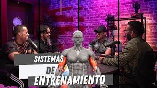 LOS 3 MEJORES COACH de Dominicana + ENTRENAMIENTO de FUERZA + ISOMETRICOS con OSIRIS BAUTISTA