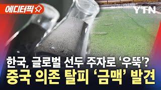 [에디터픽] 이차전지 핵심 소재 '금맥' 찾았다…중국 공급망 의존 탈피 / YTN