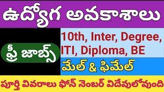 Sricity & Chennai Private Company Jobs - Male & Female Jobs - Diya Free Jobs Fest -2024 Telugu Jobs