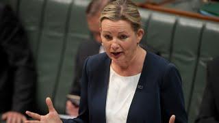 ‘Shut up’: Andrew Bolt hits out at Coalition’s internal bickering