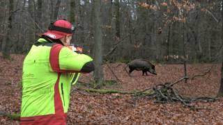 STRONG boar takes a stab! Driven hunt for wild boars in the constant rain! (DJI Matrice 4T)