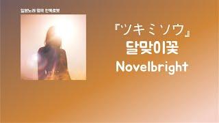 많이 좋아하고, 싫어하는 너는 이제 없어... Novelbright - ツキミソウ(달맞이꽃) [한국어 가사/발음/자막]