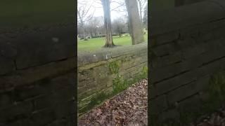 Beautiful ️ Park ️ in Bradford United Kingdom #shorts_ #ytshorts #ytvideo #ytfeedshorts #pakist