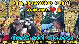 തൂത പൂരത്തിന് രാമരാജാവിന്റെ രാജകീയ വരവ് | തൂത പൂരം 2024 | thootha pooram 2024