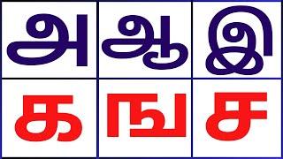 தமிழ் உயிர் எழுத்துக்கள்  || உயிர்மெய் எழுத்துக்கள் || க கரடி || ங அங்ஙனம் || ச சமையல் || ஞ ஞலவல்