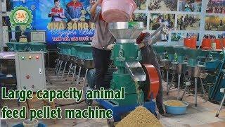 Large capacity animal feed pellet machine || Feed pellet mill [3A machine]