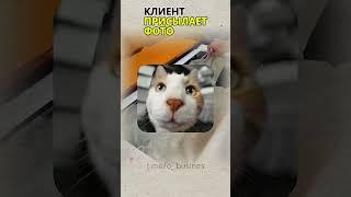 ГЕНИАЛЬНАЯ БИЗНЕС ИДЕЯ НА ДОМУ! Бизнес идеи! Бизнес 2025!