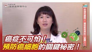 癌症不可怕！預防癌細胞的關鍵秘密！｜ft. 台塑生醫i醫健康管理中心 癌症中西醫合療專家 喬聖琳 醫師