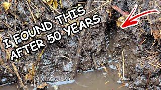 This spring was buried for 50 years – here's what I found!