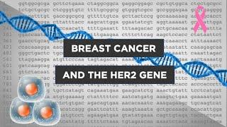 Evo-Ed: Breast Cancer and the HER2 Gene